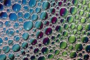 Preservatives & Disinfectants