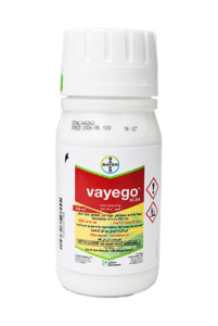 ואייגו® – ®Vayego